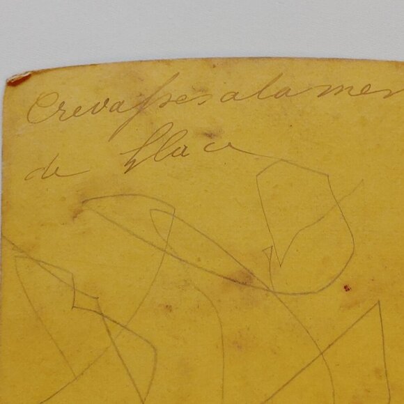 ANTIQUE Stereograph Card Almer Glacier, West Coast New Zealand - Picture 4 of 4